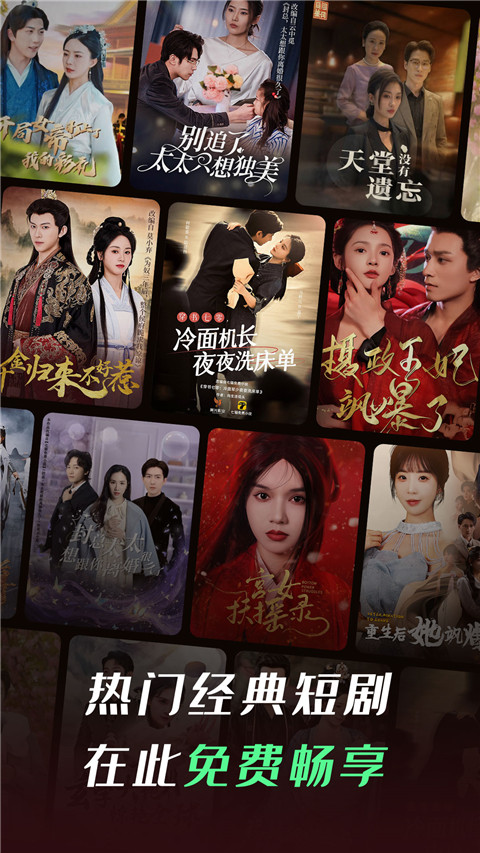 趴在古董相机上的暹罗猫异色瞳壁纸